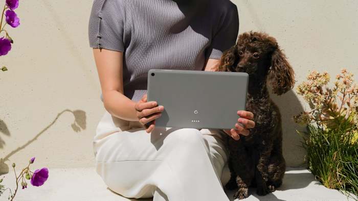 Pixel Tablet Hazel in Hand